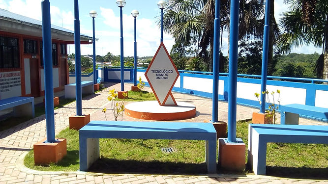 Forjando Profesionales con Valores